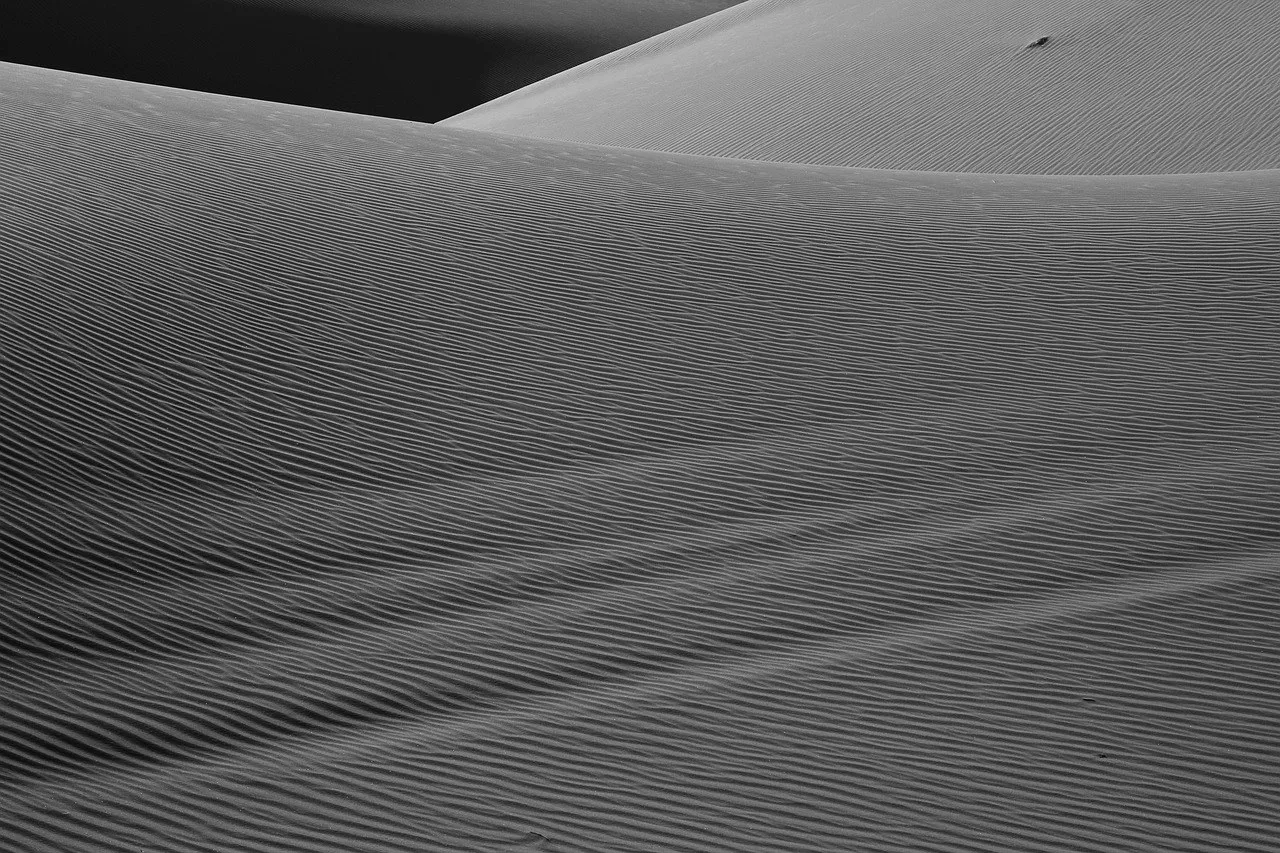 Minimalist desert dunes with soft curved lines