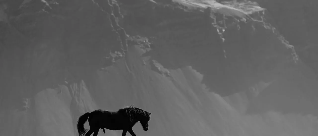 Lone horse silhouette on a dark ridge against mountains